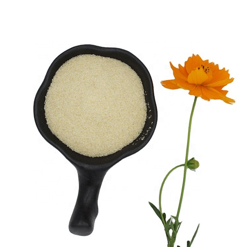 China gelatin Manufacturer High-Quality Edible Bovine beef skin pharma Gelatin 120 - 160 180 bloom